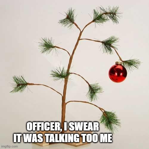 Christmas tree | Officer, I swear it was talking too me | image tagged in christmas tree | made w/ Imgflip meme maker