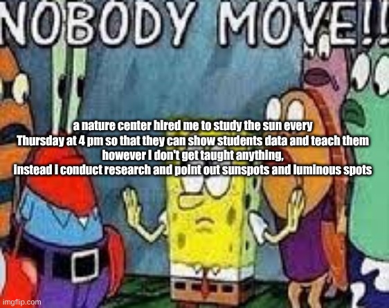 NOBODY MOVE!! | a nature center hired me to study the sun every Thursday at 4 pm so that they can show students data and teach them
however I don't get taught anything, instead i conduct research and point out sunspots and luminous spots | image tagged in nobody move | made w/ Imgflip meme maker