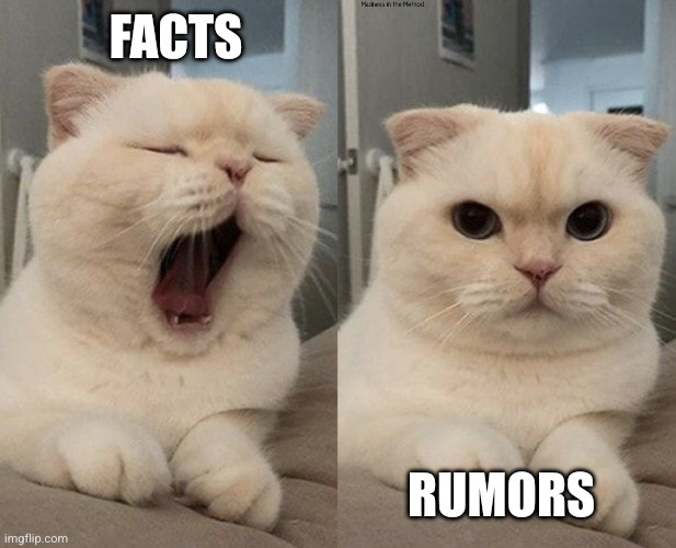 Truth is boring | Facts; Rumors | image tagged in yawning cat what do you think,spill the tea,memes,gossip,rumors,ignore facts | made w/ Imgflip meme maker