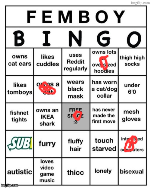 Femboy Bingo | image tagged in femboy bingo | made w/ Imgflip meme maker