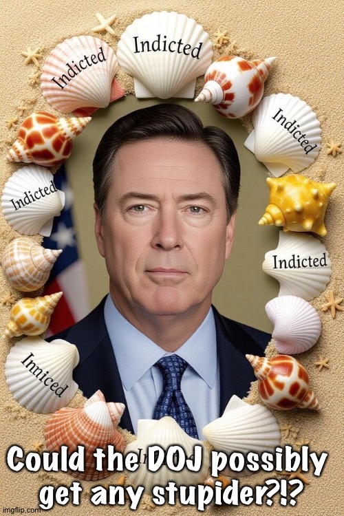 Anybody with a brain knows "86" means to eject somebody, lke a bouncer in a bar might do.  It has nothing to do with killing. | Could the DOJ possibly 
get any stupider?!? | image tagged in james comey sea shells | made w/ Imgflip meme maker