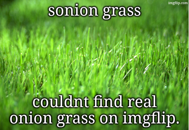 and too lazy to search the internet. | sonion grass; couldnt find real onion grass on imgflip. | image tagged in grass is greener | made w/ Imgflip meme maker