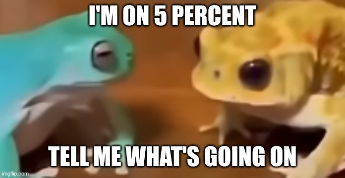 the fuck did you just say | I'm on 5 percent; tell me what's going on | image tagged in the fuck did you just say | made w/ Imgflip meme maker