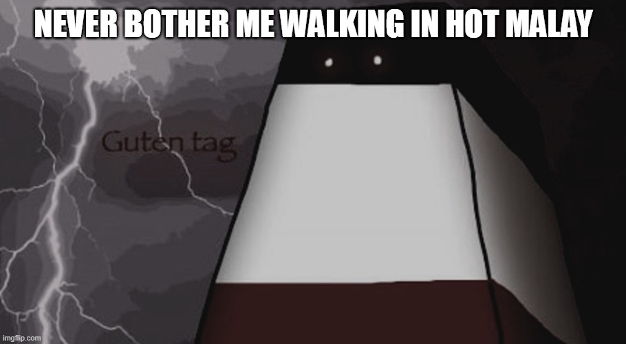 reichtangle | never bother me walking in hot malay | image tagged in reichtangle | made w/ Imgflip meme maker