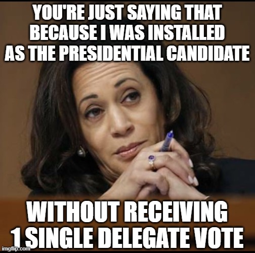 Kamala Harris  | you're just saying that because I was installed as the presidential candidate without receiving 1 single delegate vote | image tagged in kamala harris | made w/ Imgflip meme maker