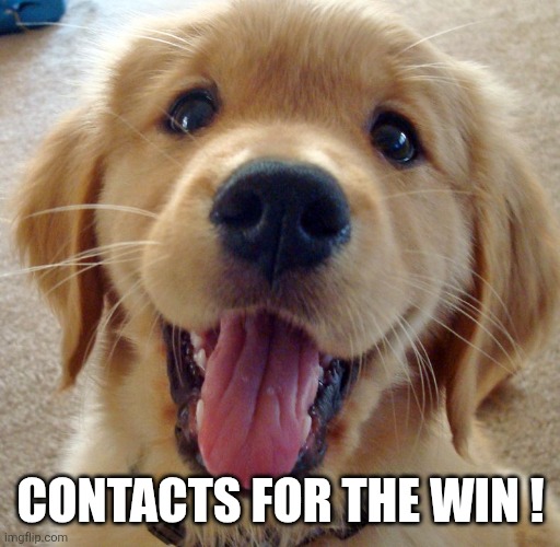 Cute dog | Contacts for the win ! | image tagged in cute dog | made w/ Imgflip meme maker