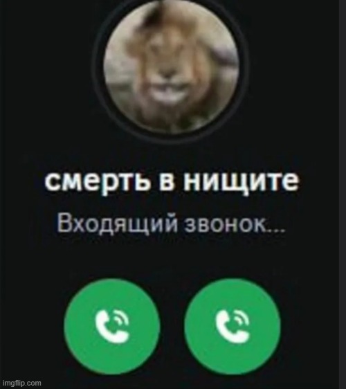 lion call | image tagged in death in | made w/ Imgflip meme maker