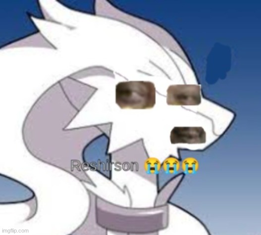 Reshirson | image tagged in reshirson | made w/ Imgflip meme maker
