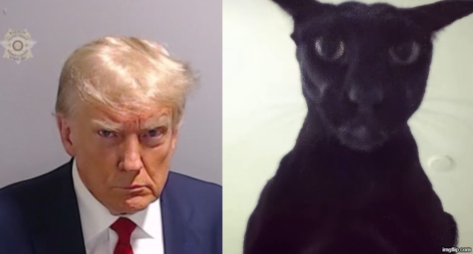 image tagged in donald trump mugshot,evil larry | made w/ Imgflip meme maker