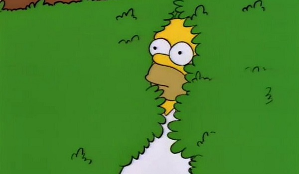 homer Blank Meme Template