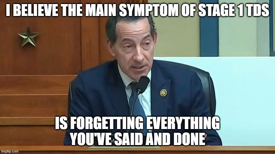 Rep Jamie Raskin | I believe the main symptom of Stage 1 TDS; is forgetting everything you've said and done | image tagged in rep jamie raskin | made w/ Imgflip meme maker