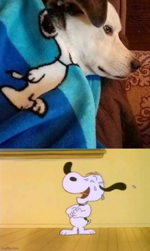 "Snoopy" | image tagged in laughing snoopy,snoopy | made w/ Imgflip meme maker