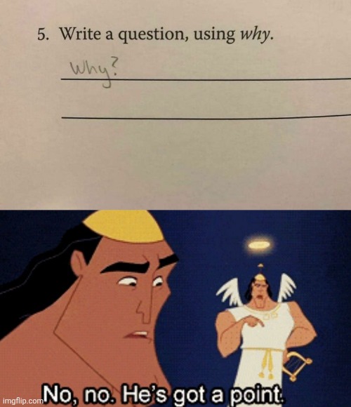 Why? | image tagged in no he has a point,why | made w/ Imgflip meme maker