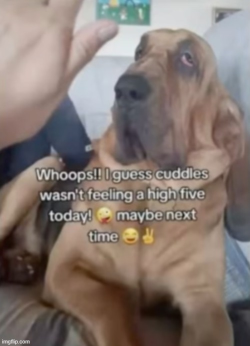 literally high five | image tagged in high | made w/ Imgflip meme maker
