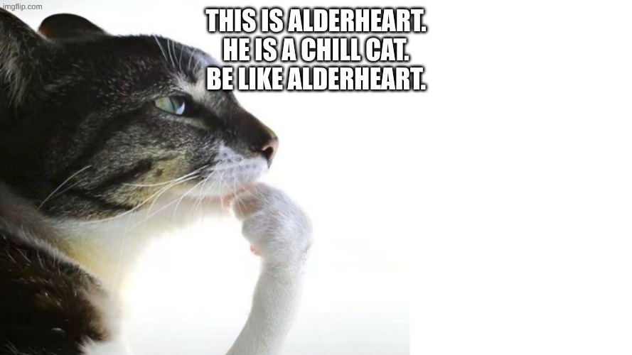 alderheart | THis is alderheart.
he is a chill cat.
be like alderheart. | image tagged in thinker,cat,warrior cats | made w/ Imgflip meme maker