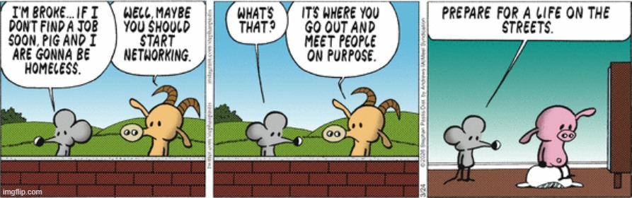 Pearls Before Swine | image tagged in comics | made w/ Imgflip meme maker