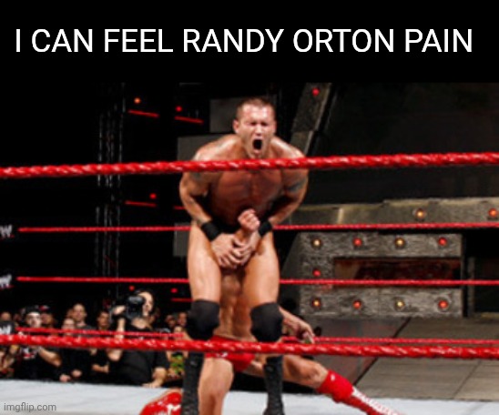 Low Blow | I can feel Randy Orton pain | image tagged in low blow | made w/ Imgflip meme maker