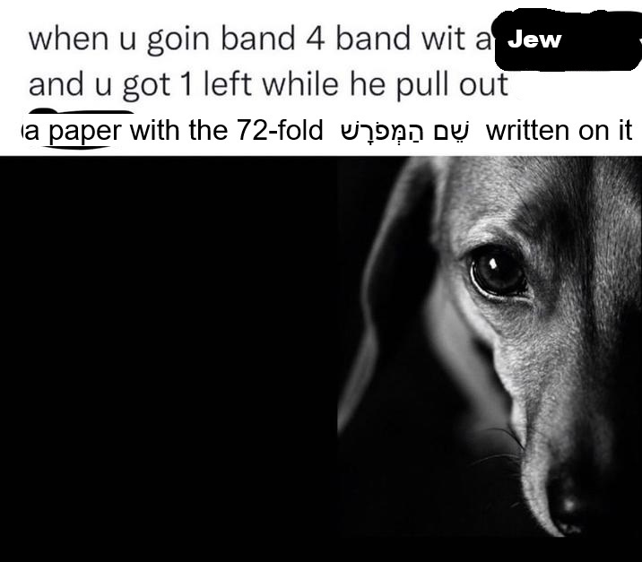 band 4 band Blank Meme Template