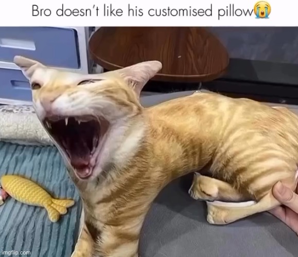 i bet the sitemods are gonna delete my account because i posted this | image tagged in r | made w/ Imgflip meme maker