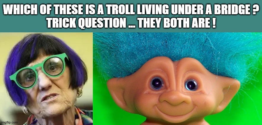 Which of these is a troll living under a bridge ?
trick question ... they both are ! | image tagged in rosa delauro webp | made w/ Imgflip meme maker