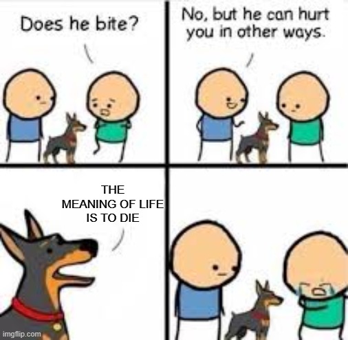 meaning of life | the meaning of life is to die | image tagged in he can hurt you in other ways | made w/ Imgflip meme maker