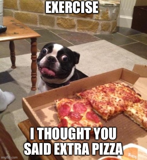 Hungry Pizza Dog | Exercise; I thought you said extra pizza | image tagged in hungry pizza dog | made w/ Imgflip meme maker