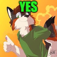 Furry thumbs up | Yes | image tagged in furry thumbs up | made w/ Imgflip meme maker
