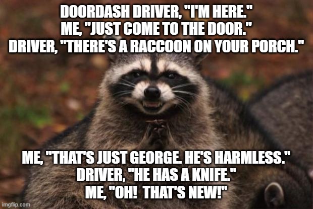 DoorDash Racoon | DoorDash driver, "I'm here."
Me, "Just come to the door."
Driver, "There's a raccoon on your porch."; Me, "That's just george. He's Harmless."
Driver, "He has a knife."
Me, "Oh!  That's new!" | image tagged in evil genius racoon | made w/ Imgflip meme maker
