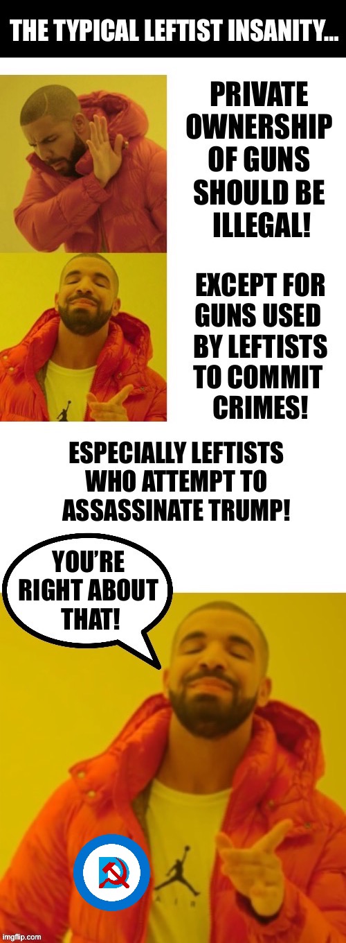 Ill-logic in leftist “Bizarro World” | image tagged in political meme,guns,private ownership,leftists,criminals,assassination | made w/ Imgflip meme maker