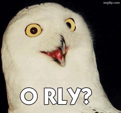 O RLY | image tagged in o rly,memes,question,owl | made w/ Imgflip meme maker