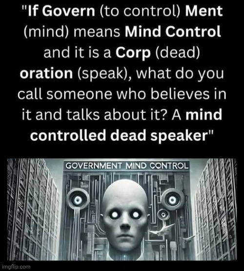 Definition of Government | image tagged in soul eater,big government | made w/ Imgflip meme maker
