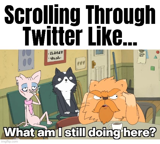 SMFH ATP | image tagged in memes,twitter,grumpy cat,cats,cat,kevin | made w/ Imgflip meme maker