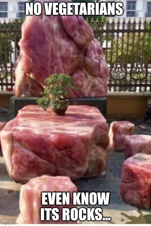 Screenshot 2026-04-29 11.56.59 AM.png | no vegetarians; even know its rocks... | image tagged in screenshot 2026-04-29 11 56 59 am png | made w/ Imgflip meme maker