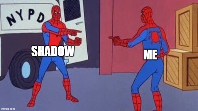 spiderman pointing at spiderman | shadow; me | image tagged in spiderman pointing at spiderman | made w/ Imgflip meme maker