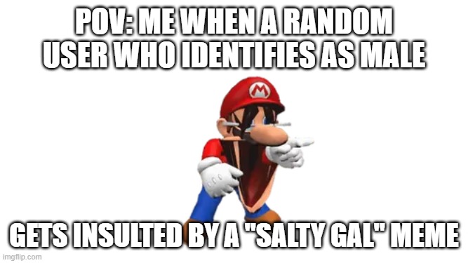 SMG4 Mario Laughing | pov: me when a random user who identifies as male; gets insulted by a "salty gal" meme | image tagged in smg4 mario laughing | made w/ Imgflip meme maker