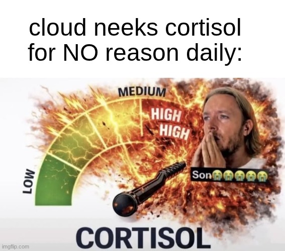 he's always whining Abt something in either 2 paragraph posts are spamming like a lil bih | cloud neeks cortisol for NO reason daily: | image tagged in son high cortisol | made w/ Imgflip meme maker