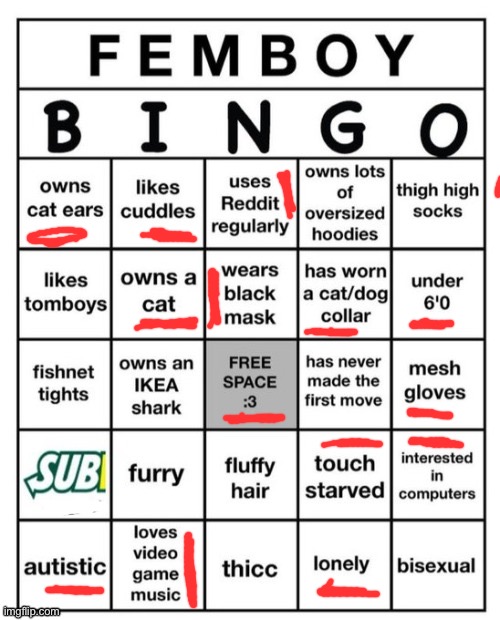 i have ben forced to do femboy bingo against my will. explanation for the cat ears/mesh gloves/collar: it was for a dare. | made w/ Imgflip meme maker