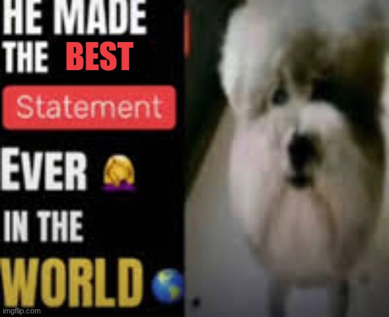 he made the worst statement ever in the world | best | image tagged in he made the worst statement ever in the world | made w/ Imgflip meme maker
