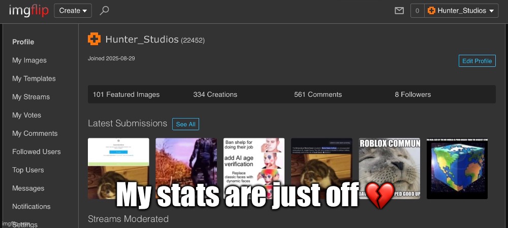 How to fix this now? | My stats are just off 💔 | image tagged in stats,clean,get some,time,why are you reading the tags | made w/ Imgflip meme maker