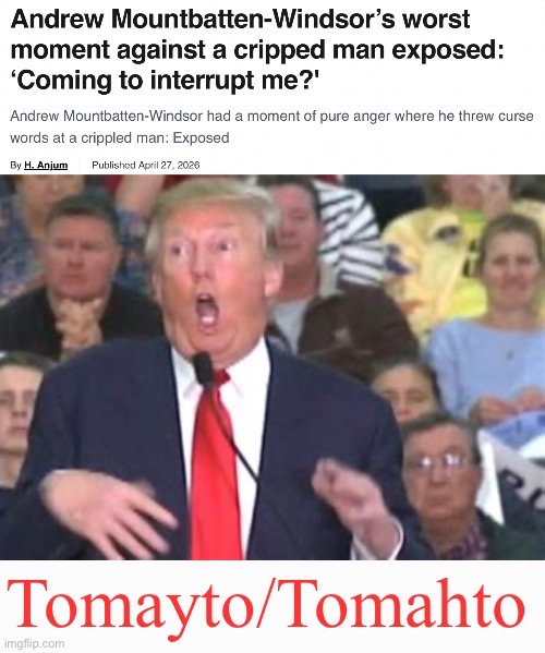 Turds of a Feather | image tagged in birdbrain abd chickenhawk | made w/ Imgflip meme maker