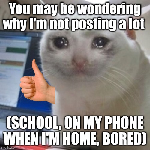 sorry yall | You may be wondering why I'm not posting a lot; (school, on my phone when I'm home, bored) | image tagged in crying cat | made w/ Imgflip meme maker