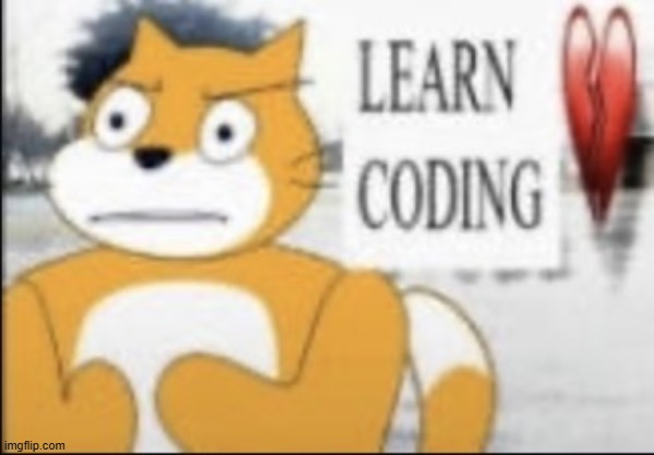 LEARN CODING | image tagged in learn coding | made w/ Imgflip meme maker