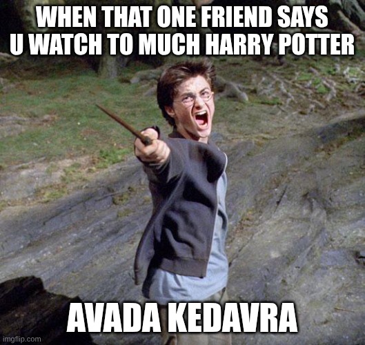 Harry potter | when that one friend says u watch to much Harry potter; Avada Kedavra | image tagged in harry potter | made w/ Imgflip meme maker