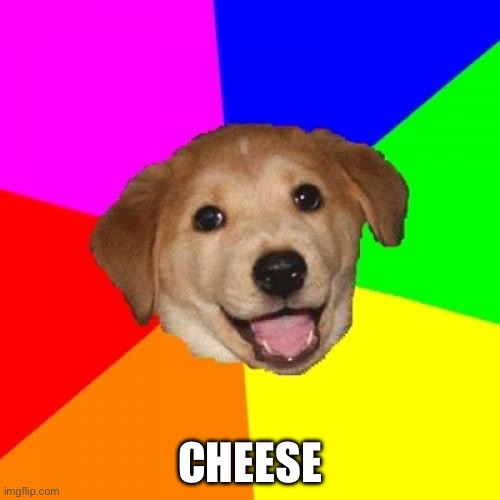 Advice Dog | Cheese | image tagged in memes,advice dog | made w/ Imgflip meme maker