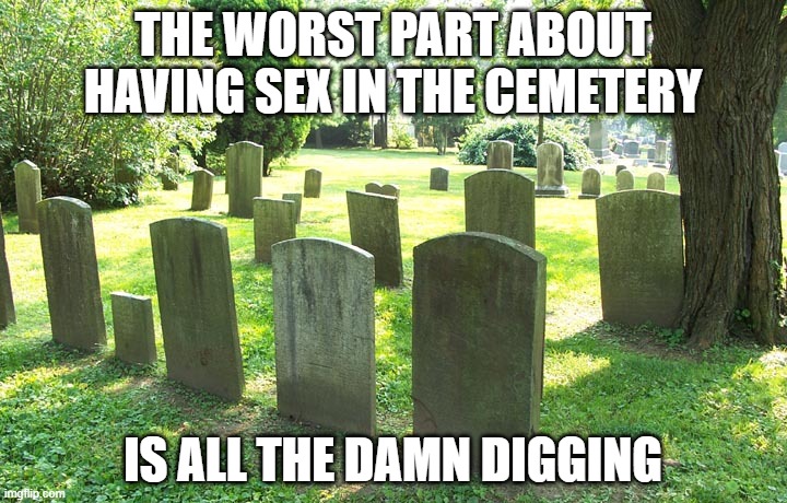 Love in a Cemtery | The worst part about having sex in the cemetery; is all the damn digging | image tagged in cemetery | made w/ Imgflip meme maker