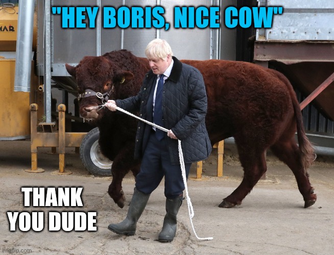 Who produces more BS? | "Hey Boris, nice cow"; Thank you dude | image tagged in who produces more bs | made w/ Imgflip meme maker