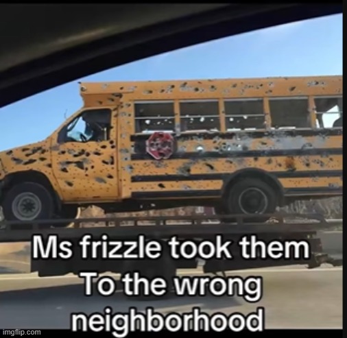 ☠️? | image tagged in hood,ms frizzle | made w/ Imgflip meme maker