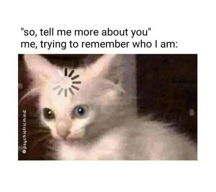 Cat Thinking Blank Meme Template