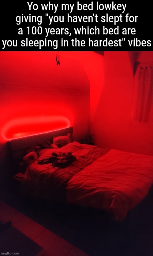 I love it so much, never have i felt cozier before | Yo why my bed lowkey giving "you haven't slept for a 100 years, which bed are you sleeping in the hardest" vibes | made w/ Imgflip meme maker