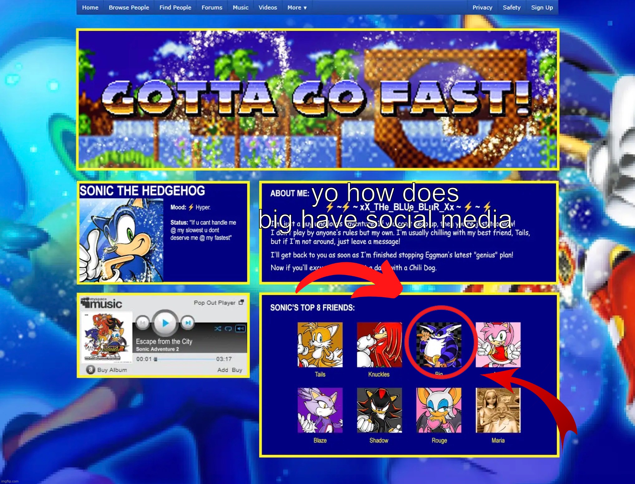 something something something | yo how does big have social media | image tagged in sonic the hedgehog,i hate knitters | made w/ Imgflip meme maker